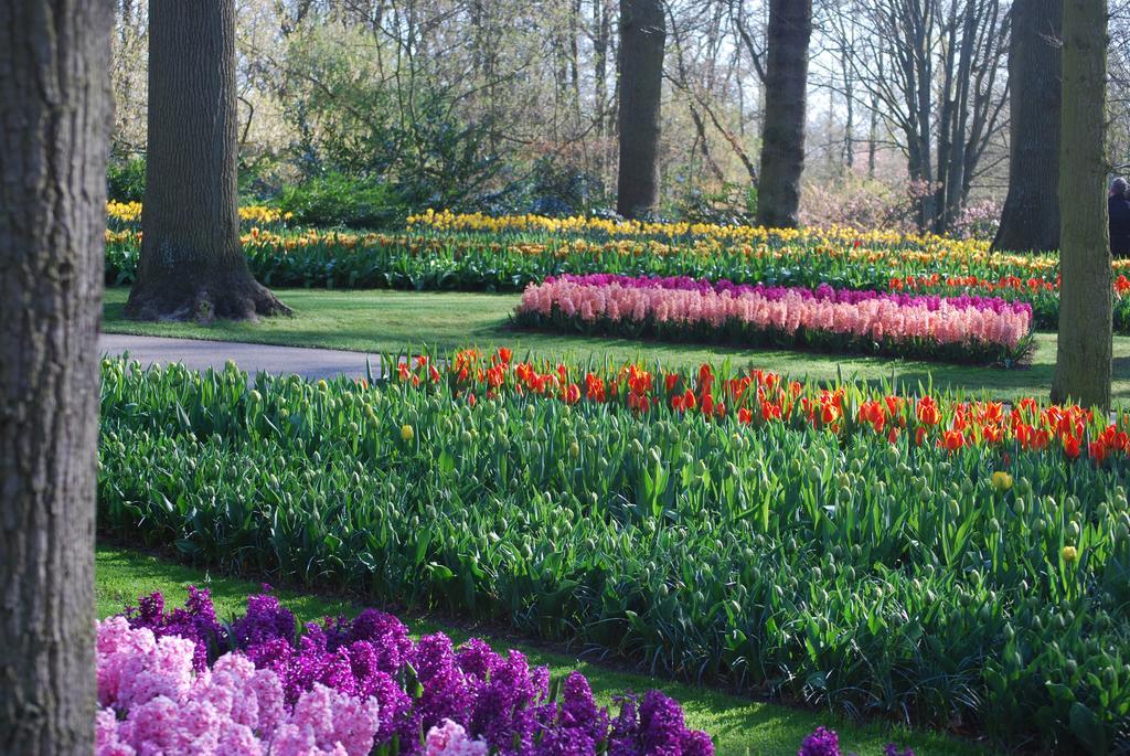 Vakantiepark Delftse Hout Luaran gambar